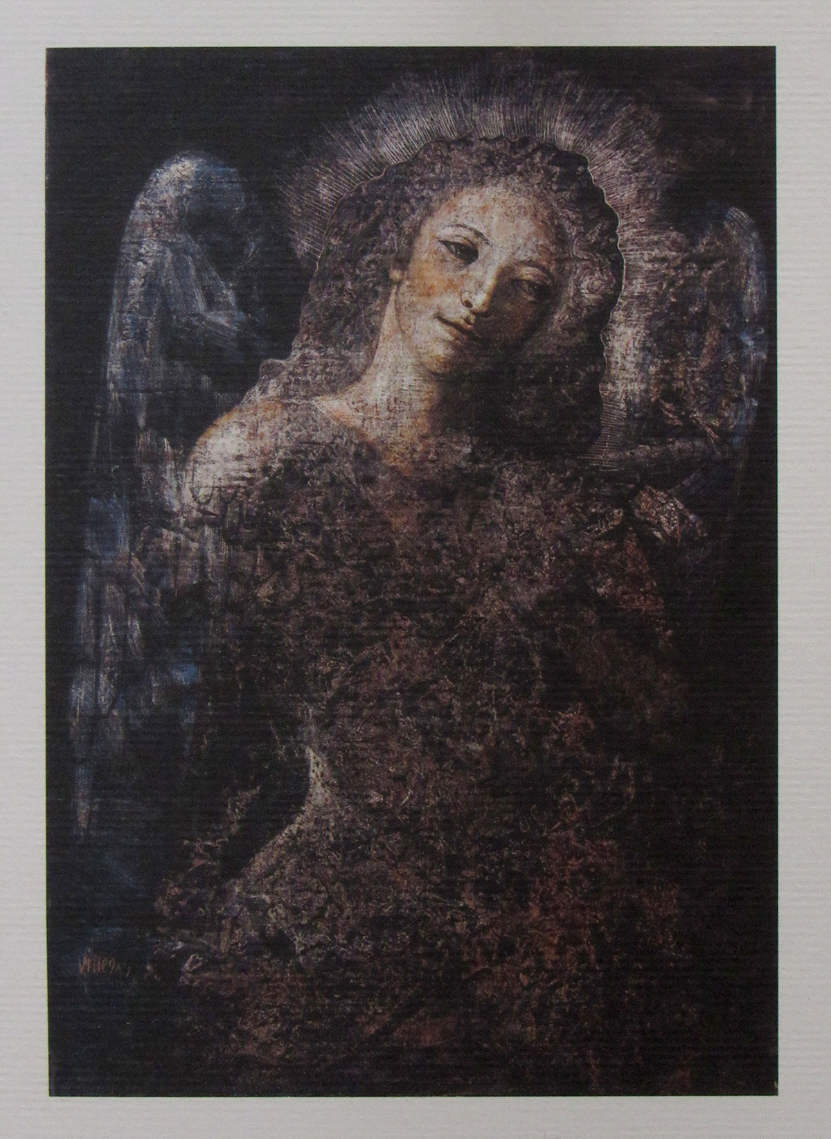 ANGEL-FALLECE-SER-QUERIDO