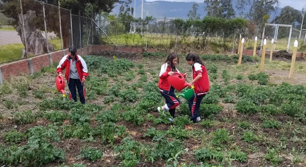 Innovación educativa en acción: docentes que inspiran, aulas que transforman
