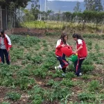 Innovación educativa en acción: docentes que inspiran, aulas que transforman